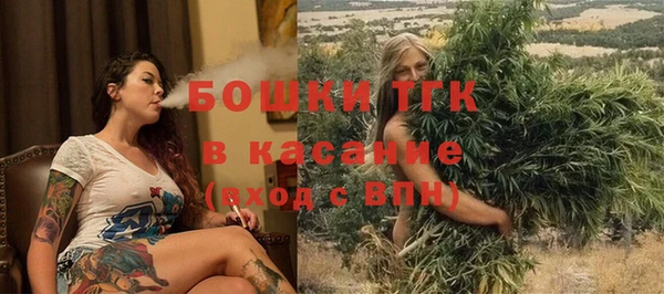 шишки Павлово