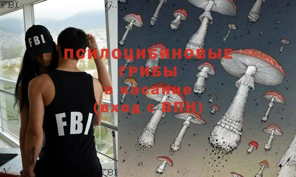 амфетамин Снежногорск