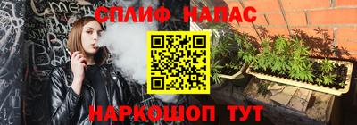 spice Канаш