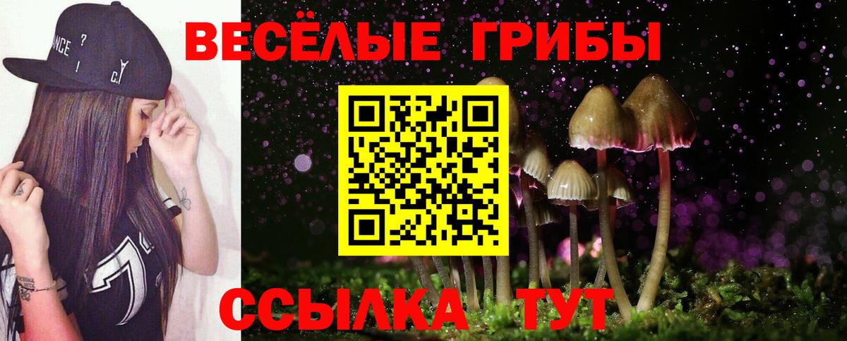 Псилоцибиновые грибы Cubensis Татарск